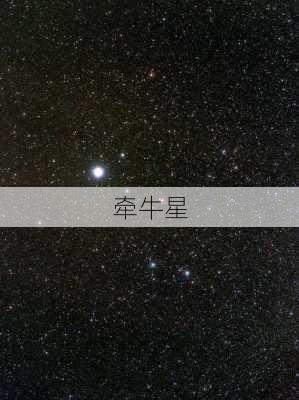 牵牛星