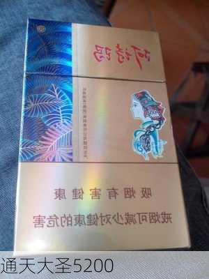 通天大圣5200