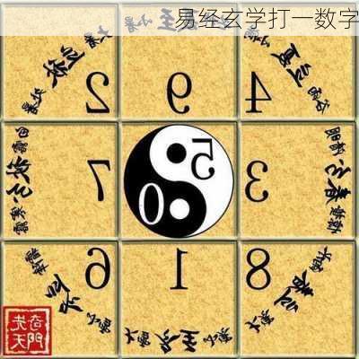 易经玄学打一数字