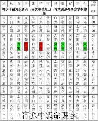 盲派中级命理学