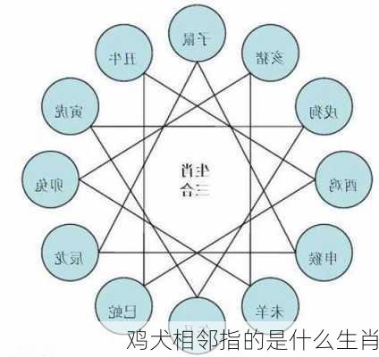 鸡犬相邻指的是什么生肖