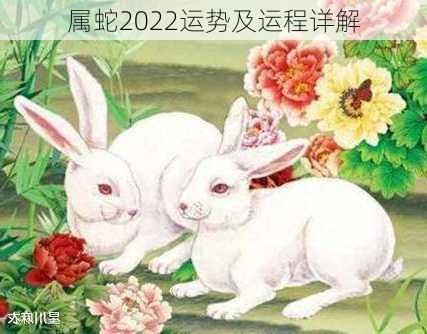 属蛇2022运势及运程详解