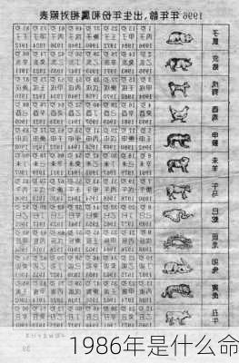 1986年是什么命