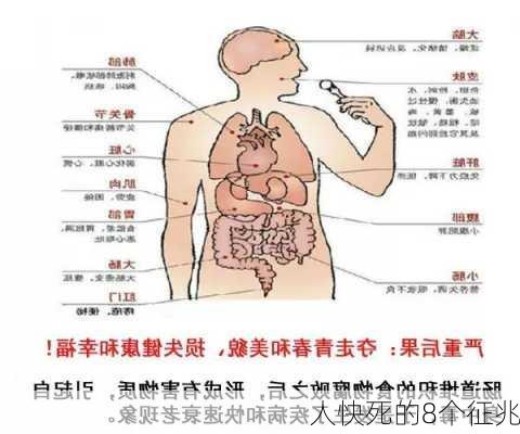 人快死的8个征兆