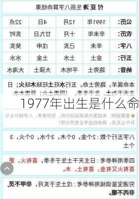 1977年出生是什么命