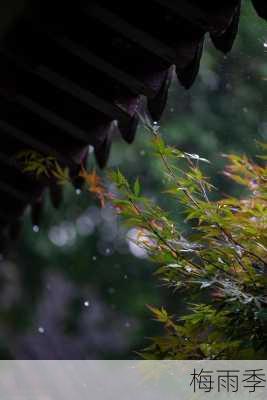 梅雨季