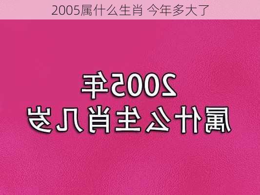 2005属什么生肖 今年多大了