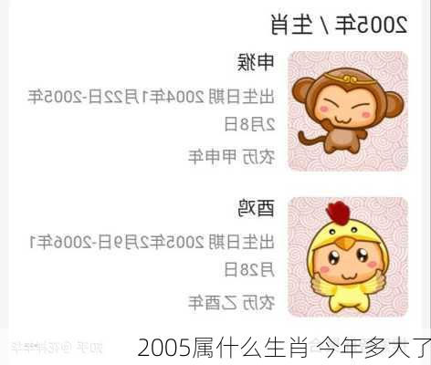 2005属什么生肖 今年多大了