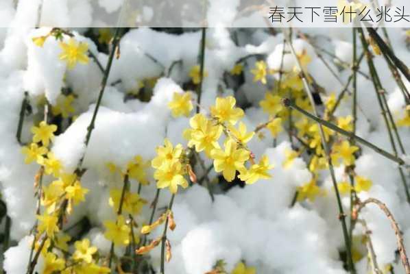 春天下雪什么兆头