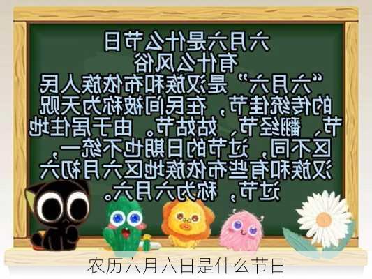 农历六月六日是什么节日