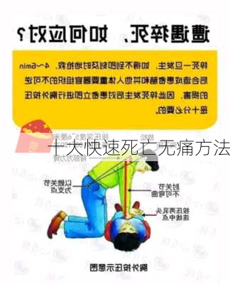 十大快速死亡无痛方法