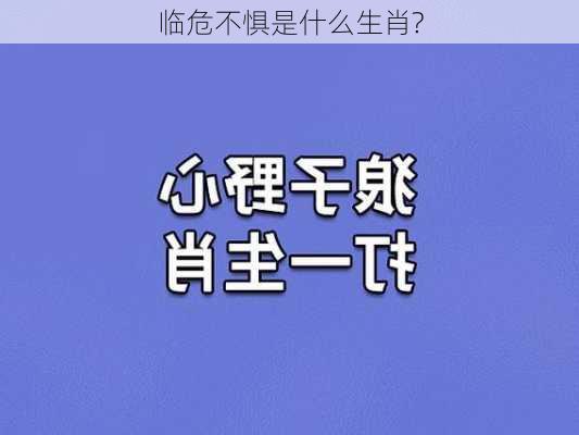 临危不惧是什么生肖?