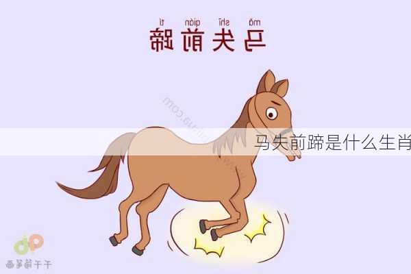 马失前蹄是什么生肖