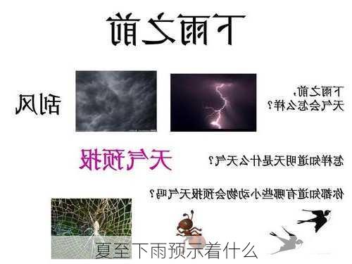 夏至下雨预示着什么