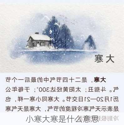 小寒大寒是什么意思