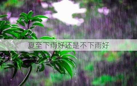 夏至下雨好还是不下雨好