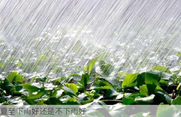 夏至下雨好还是不下雨好