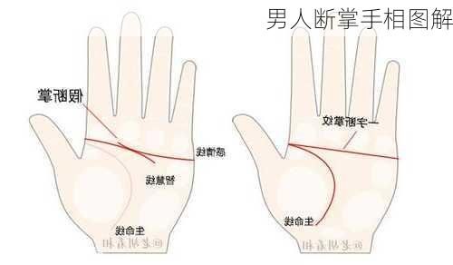 男人断掌手相图解