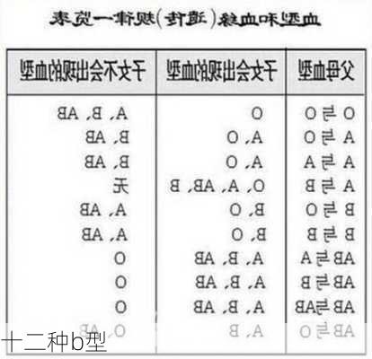 十二种b型