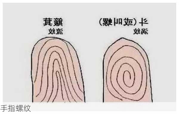 手指螺纹