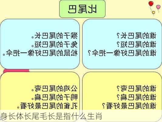 身长体长尾毛长是指什么生肖