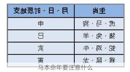 马本命年要注意什么