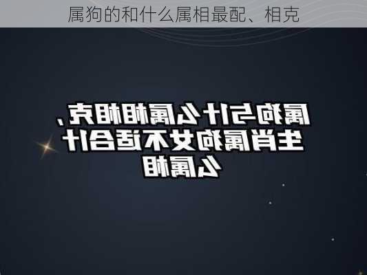 属狗的和什么属相最配、相克