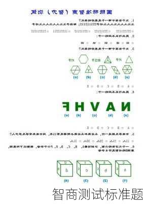 智商测试标准题