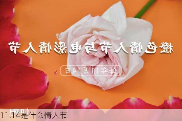 11.14是什么情人节