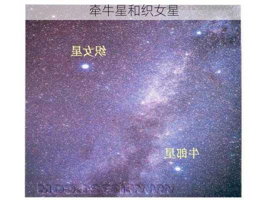 牵牛星和织女星