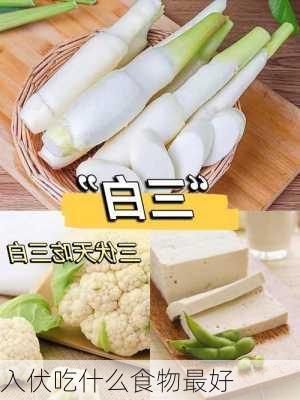 入伏吃什么食物最好