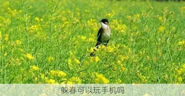 躲春可以玩手机吗