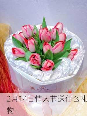 2月14日情人节送什么礼物