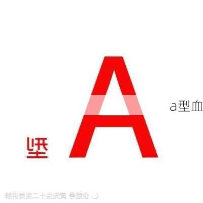 a型血