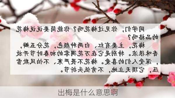 出梅是什么意思啊