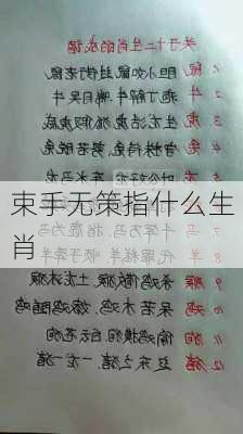 束手无策指什么生肖