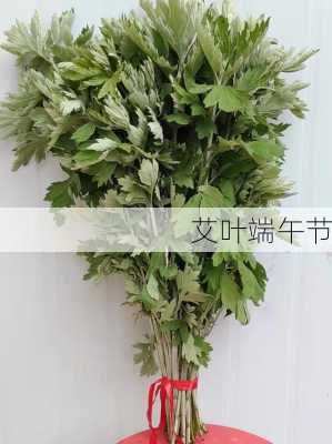 艾叶端午节