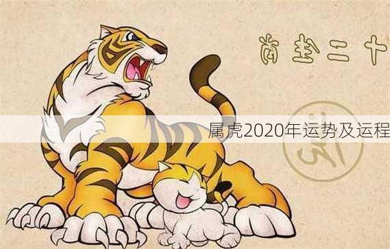 属虎2020年运势及运程