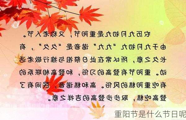 重阳节是什么节日呢