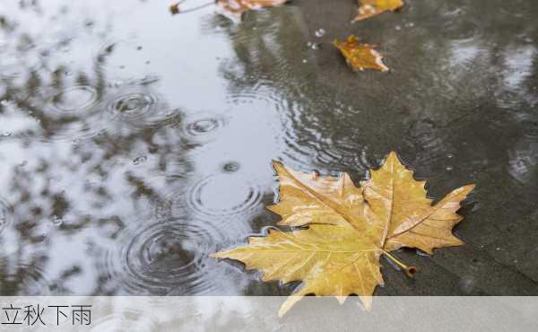 立秋下雨