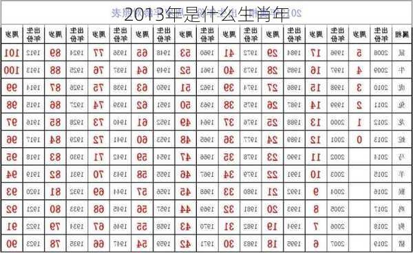 2013年是什么生肖年