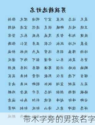 带木字旁的男孩名字