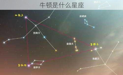 牛顿是什么星座