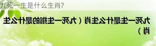 九死一生是什么生肖?