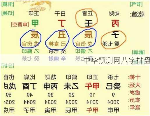 中华预测网八字排盘