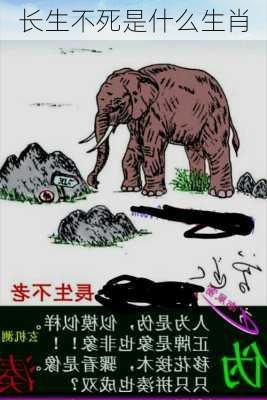 长生不死是什么生肖