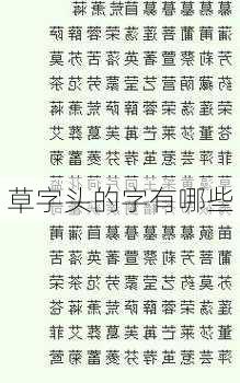 草字头的字有哪些