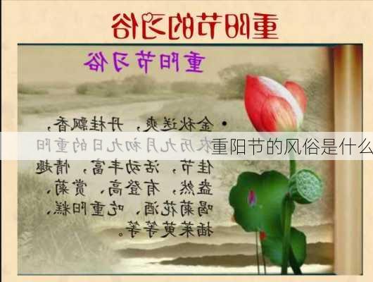 重阳节的风俗是什么