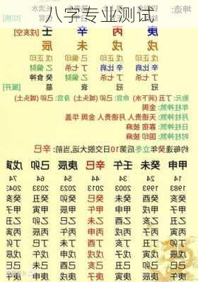 八字专业测试