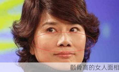 颧骨高的女人面相